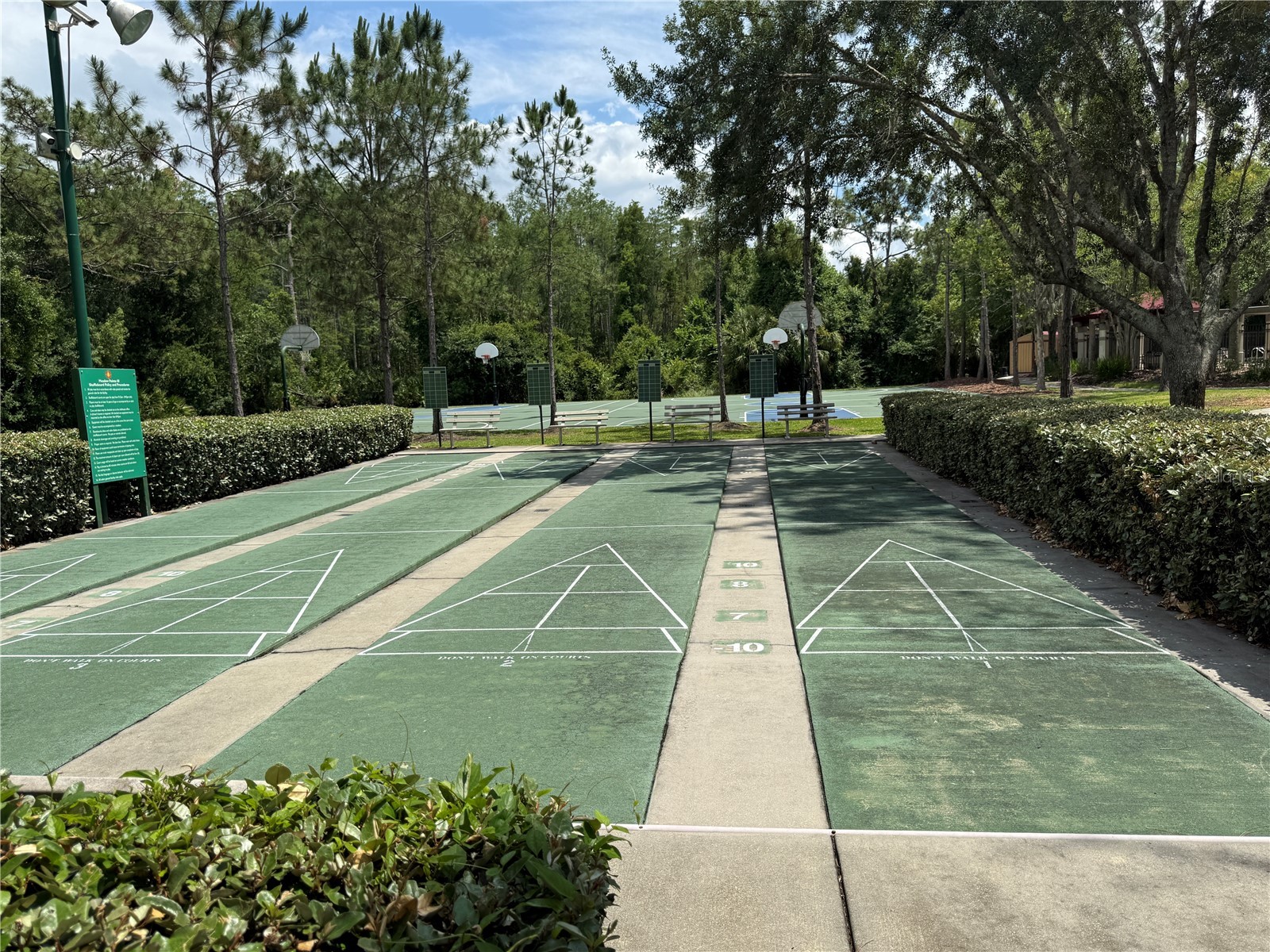 31203 Flannery Court Wesley Chapel FL 33543 TB8508019 image31