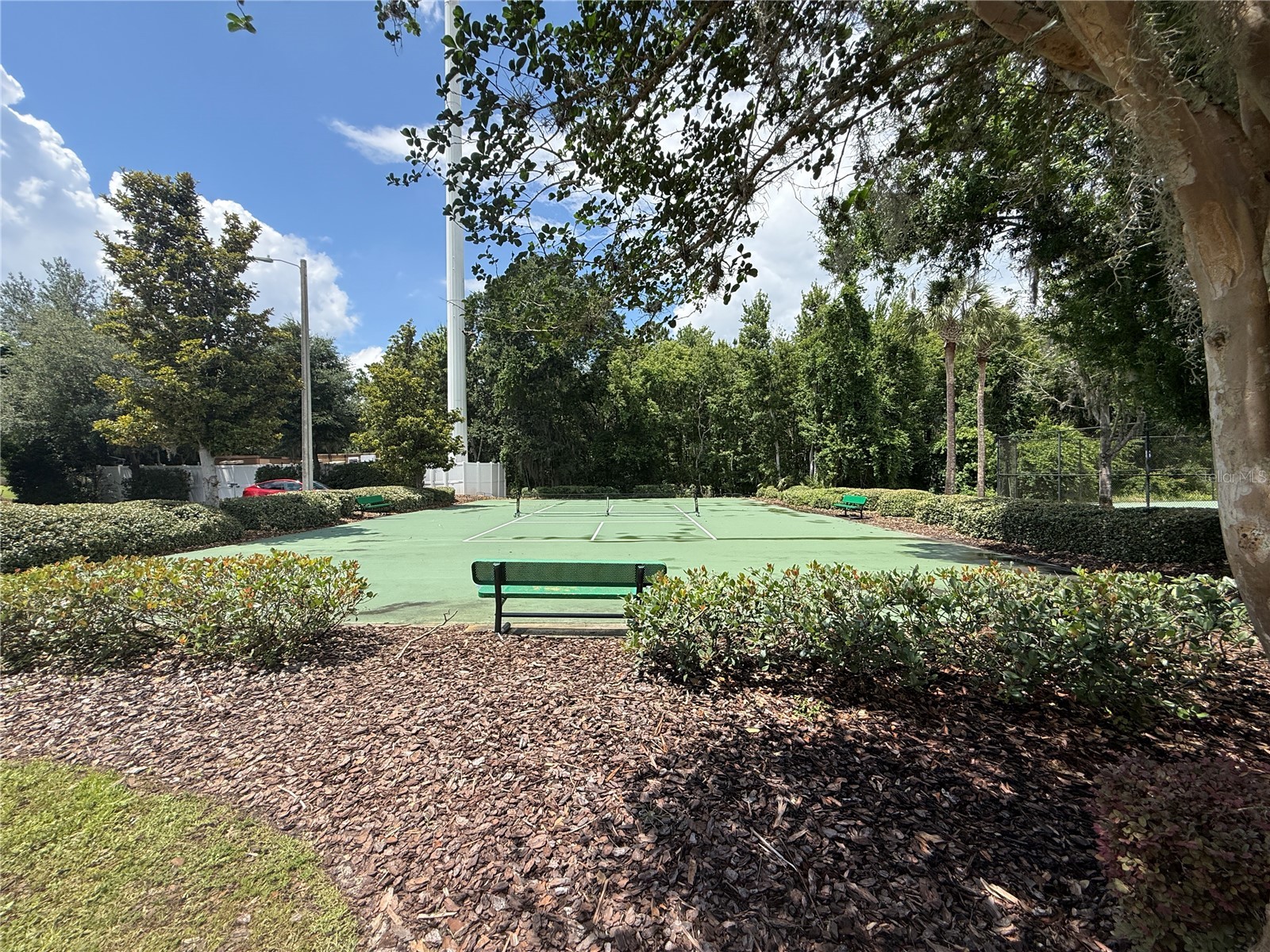 31203 Flannery Court Wesley Chapel FL 33543 TB8508019 image33