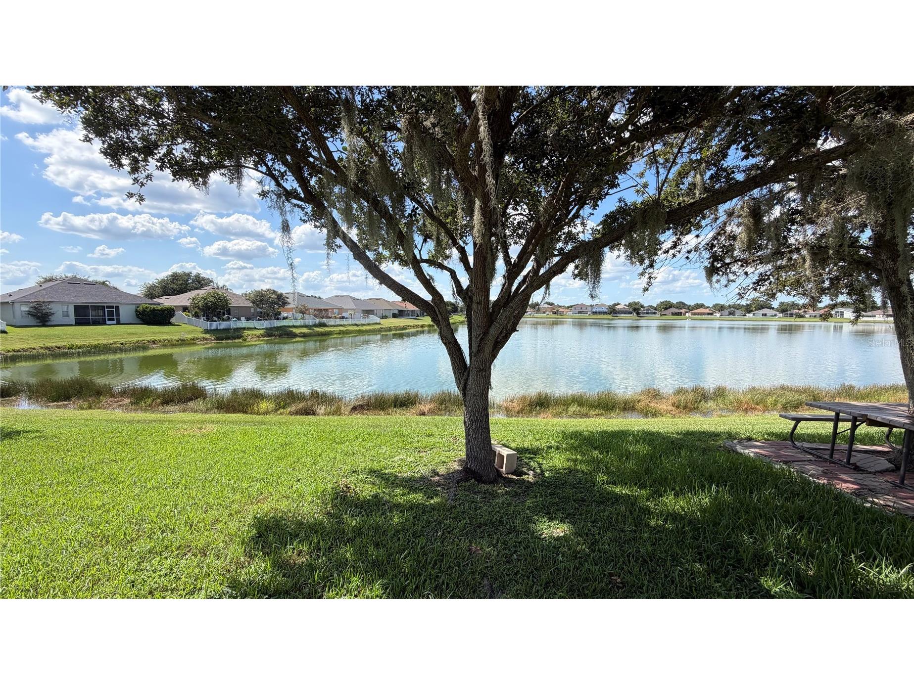 31205 Bridgegate Drive Wesley Chapel FL 33545 TB8532742 image37