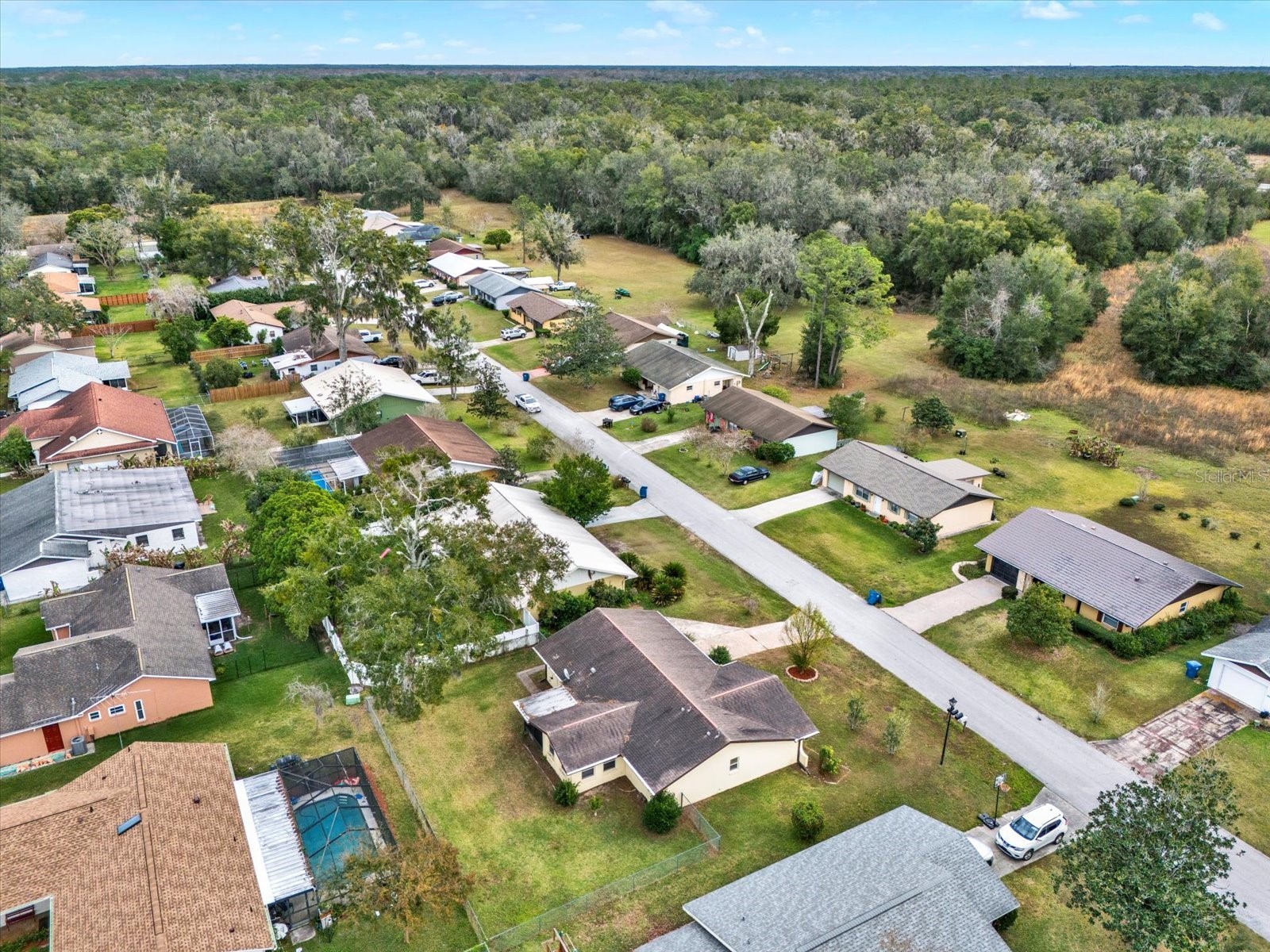 31205 Lancewood Drive Brooksville FL 34602 W7881866 image20