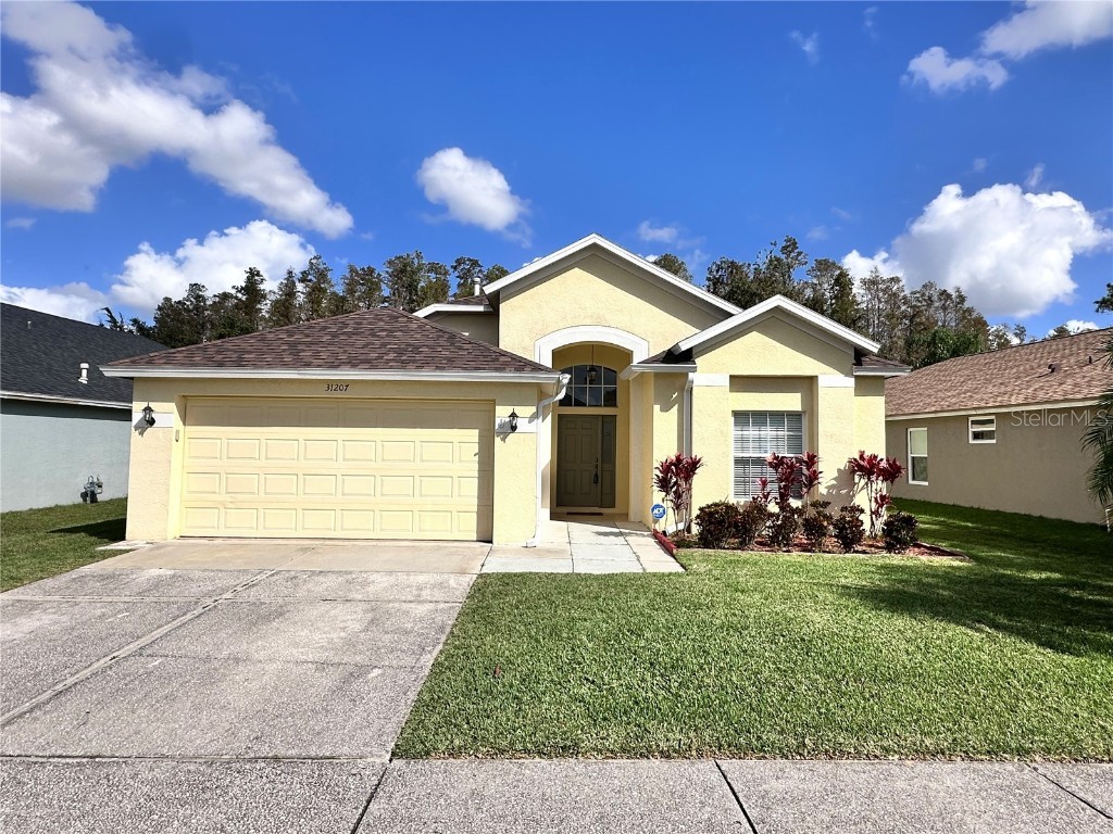 31207 Chatterly Drive Wesley Chapel FL 33543 U8255999 image1