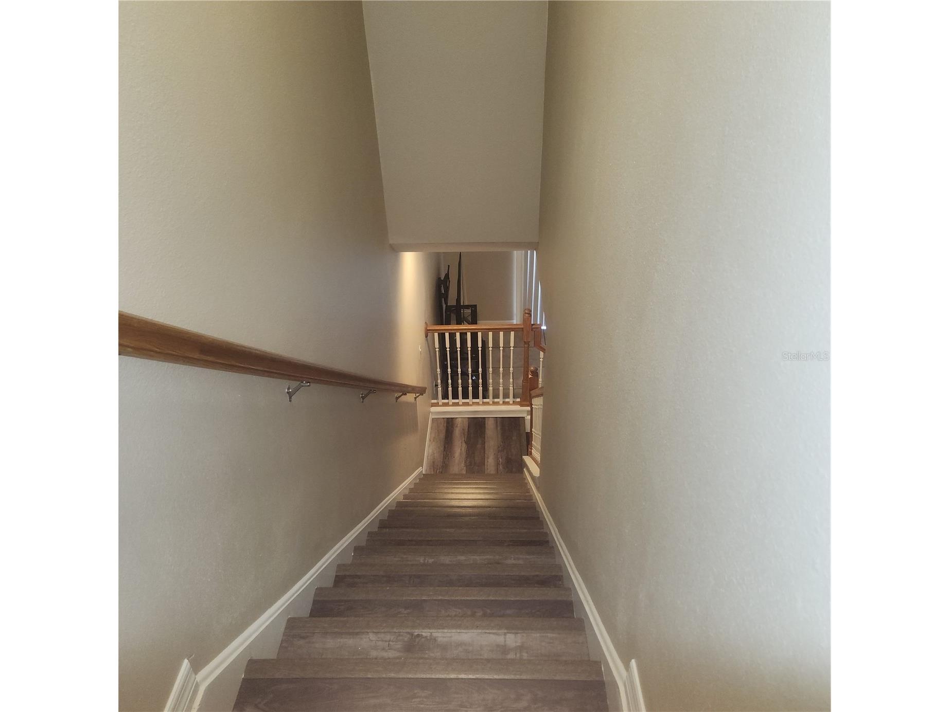 31209 Flannery Court Wesley Chapel FL 33543 TB8503671 image7