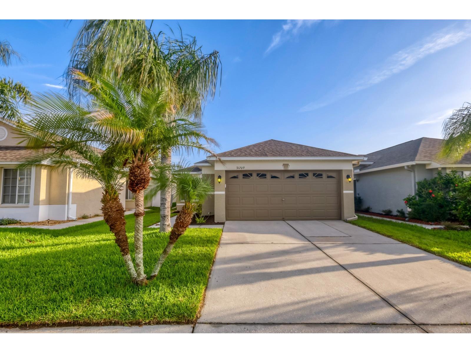 31209 Masena Drive Wesley Chapel FL 33545 TB8530142 image1