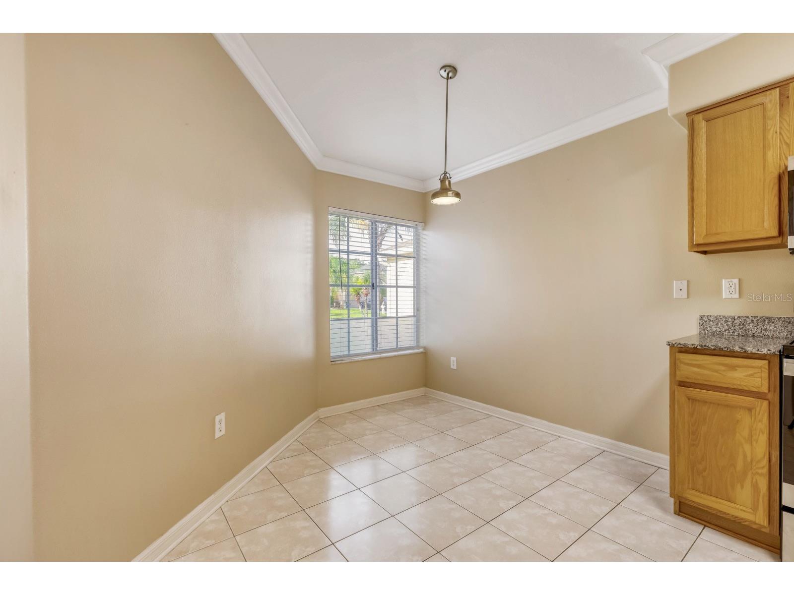 31209 Masena Drive Wesley Chapel FL 33545 TB8530142 image13