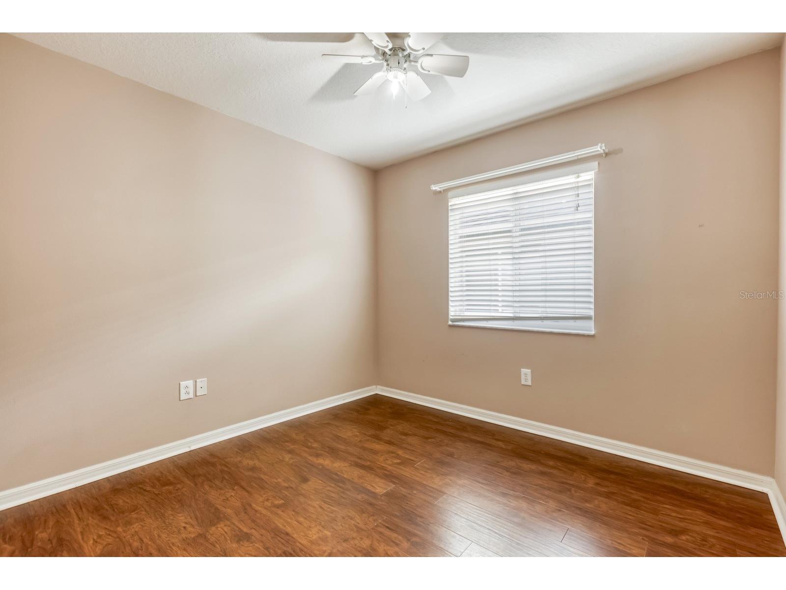 31209 Masena Drive Wesley Chapel FL 33545 TB8530142 image15