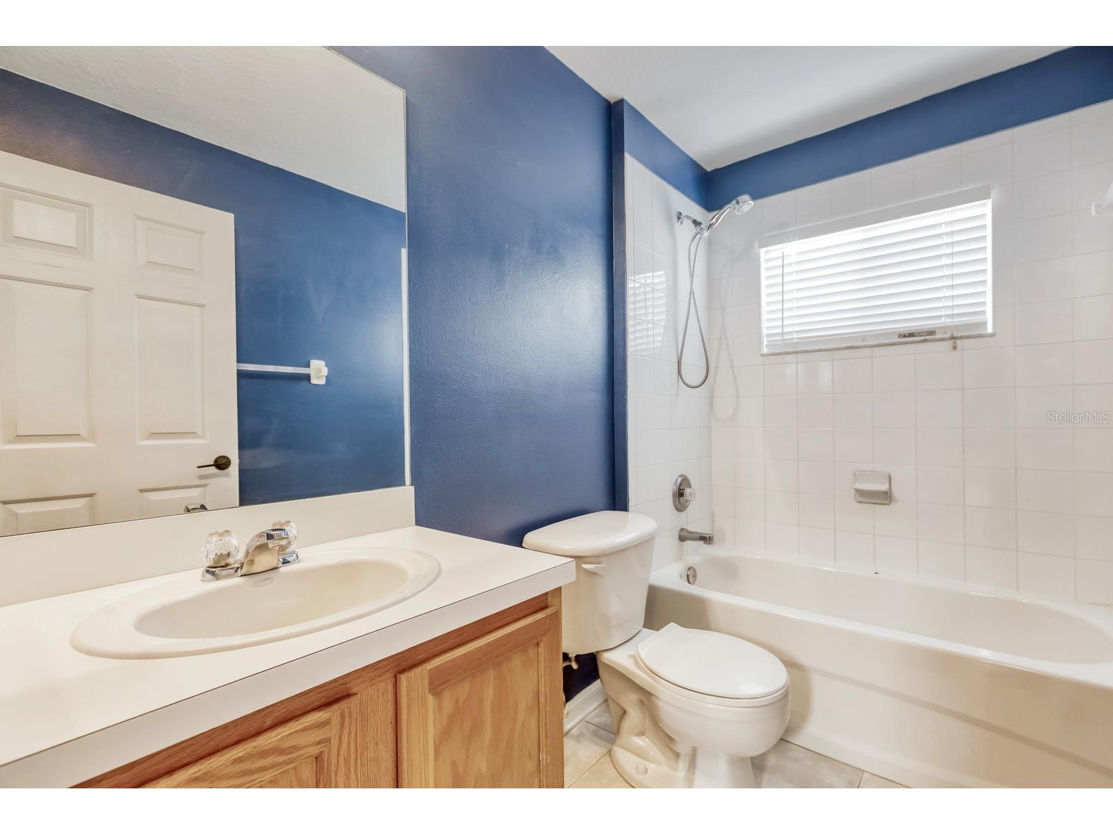 31209 Masena Drive Wesley Chapel FL 33545 TB8530142 image17