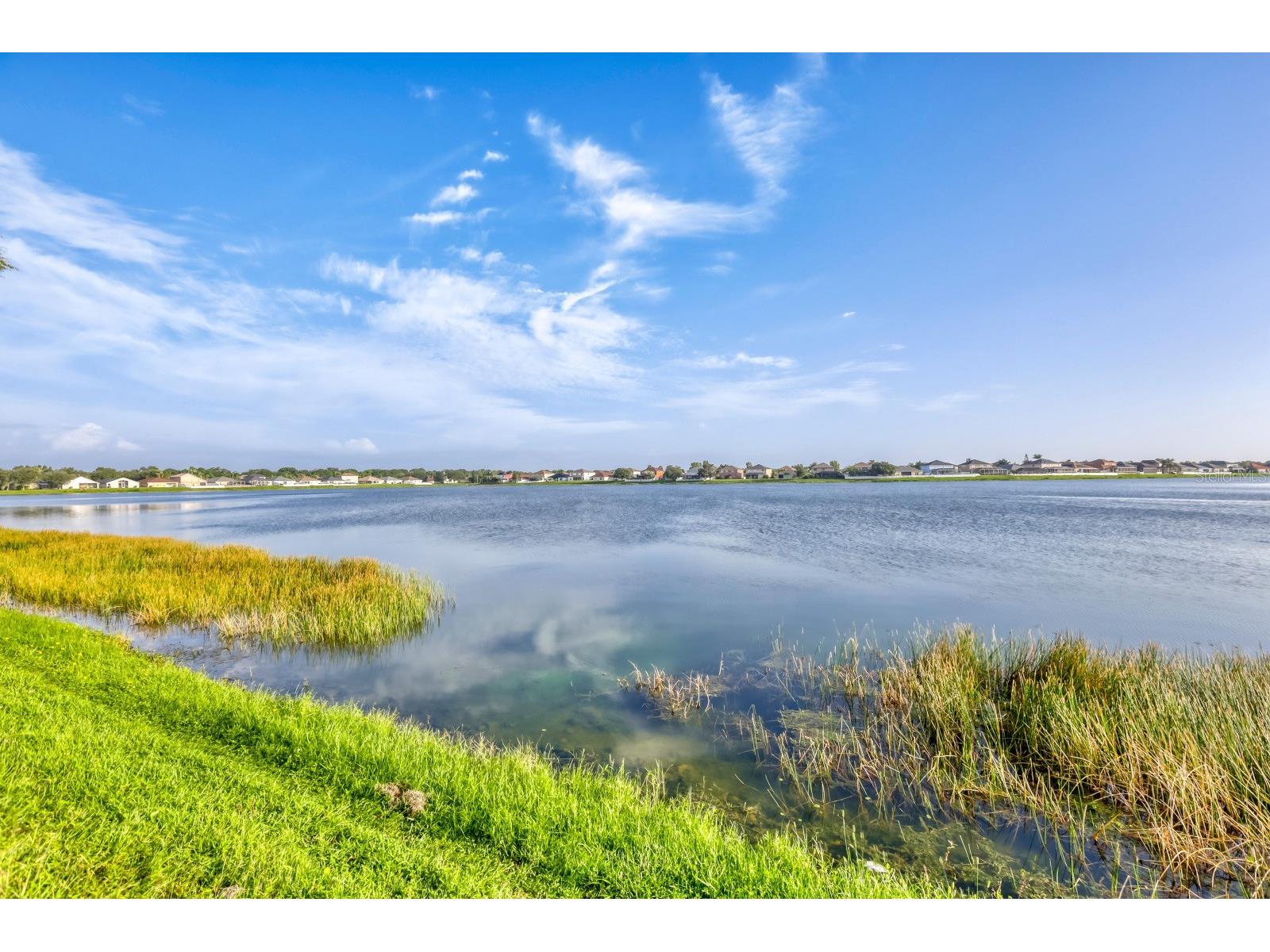 31209 Masena Drive Wesley Chapel FL 33545 TB8530142 image20