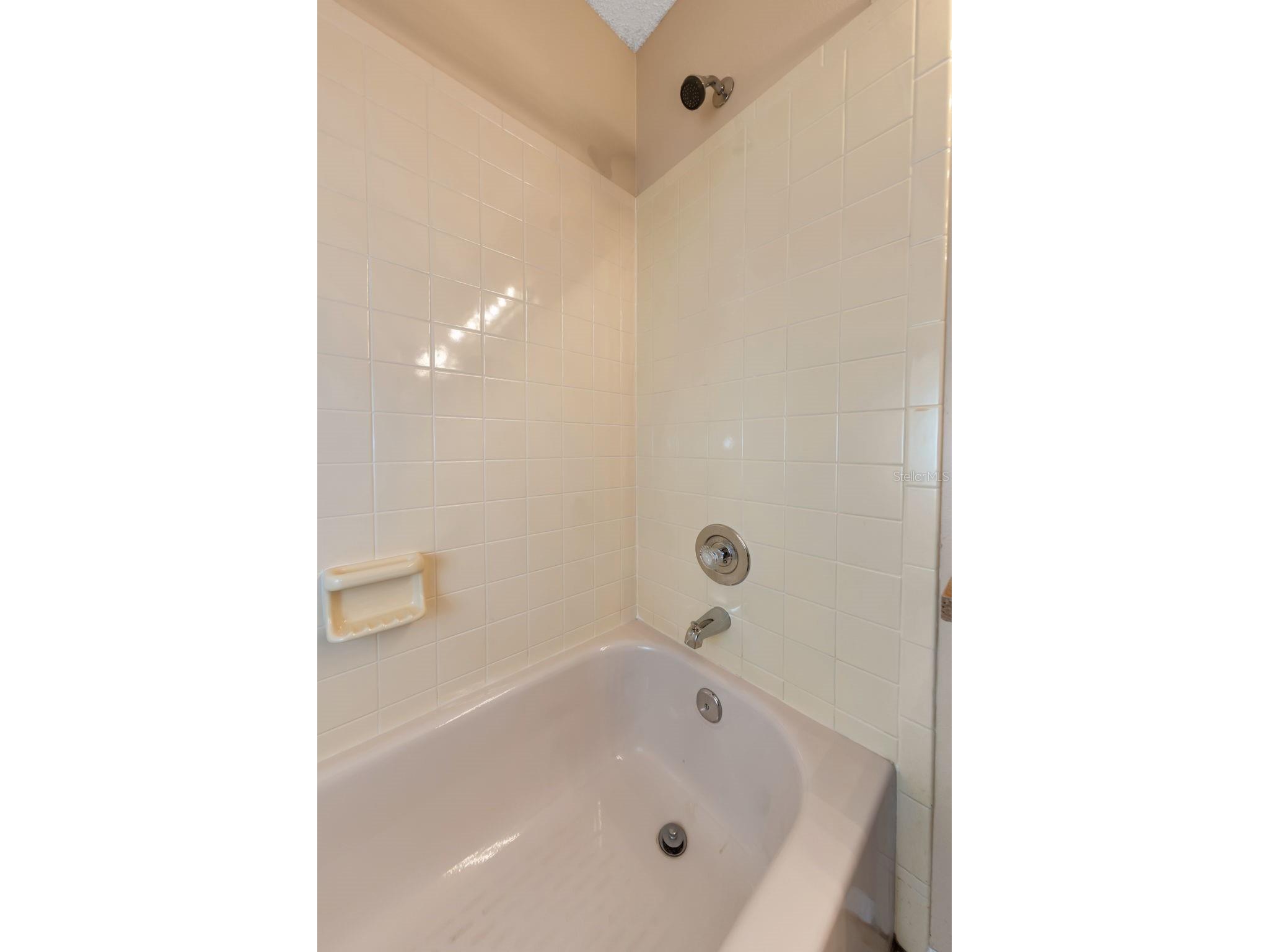 3121 Beecher Drive E #A Palm Harbor FL 34683 TB8490016 image23