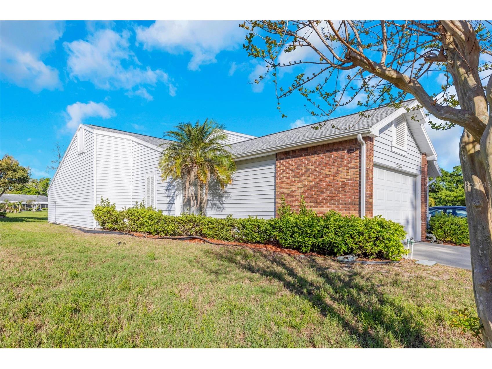 3121 Beecher Drive E #A Palm Harbor FL 34683 TB8490016 image3