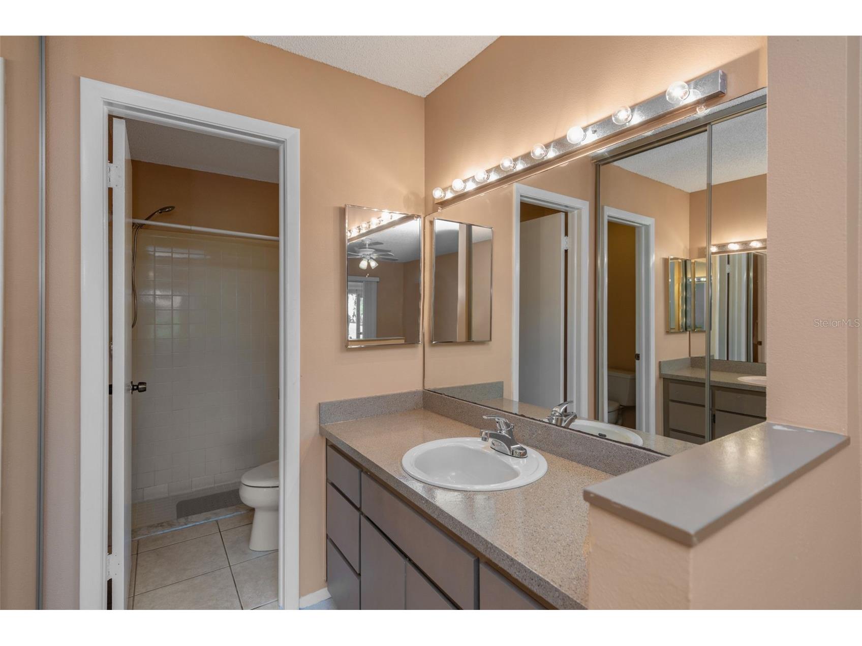 3121 Beecher Drive E #A Palm Harbor FL 34683 TB8490016 image38