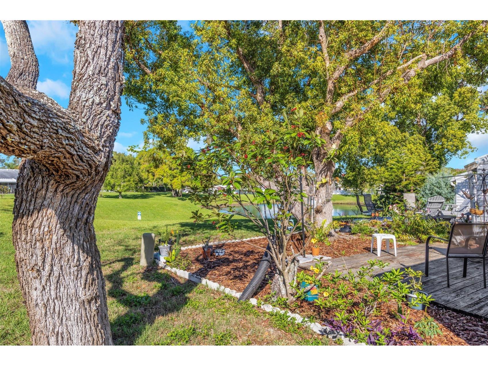 3121 Beecher Drive E #A Palm Harbor FL 34683 TB8490016 image48