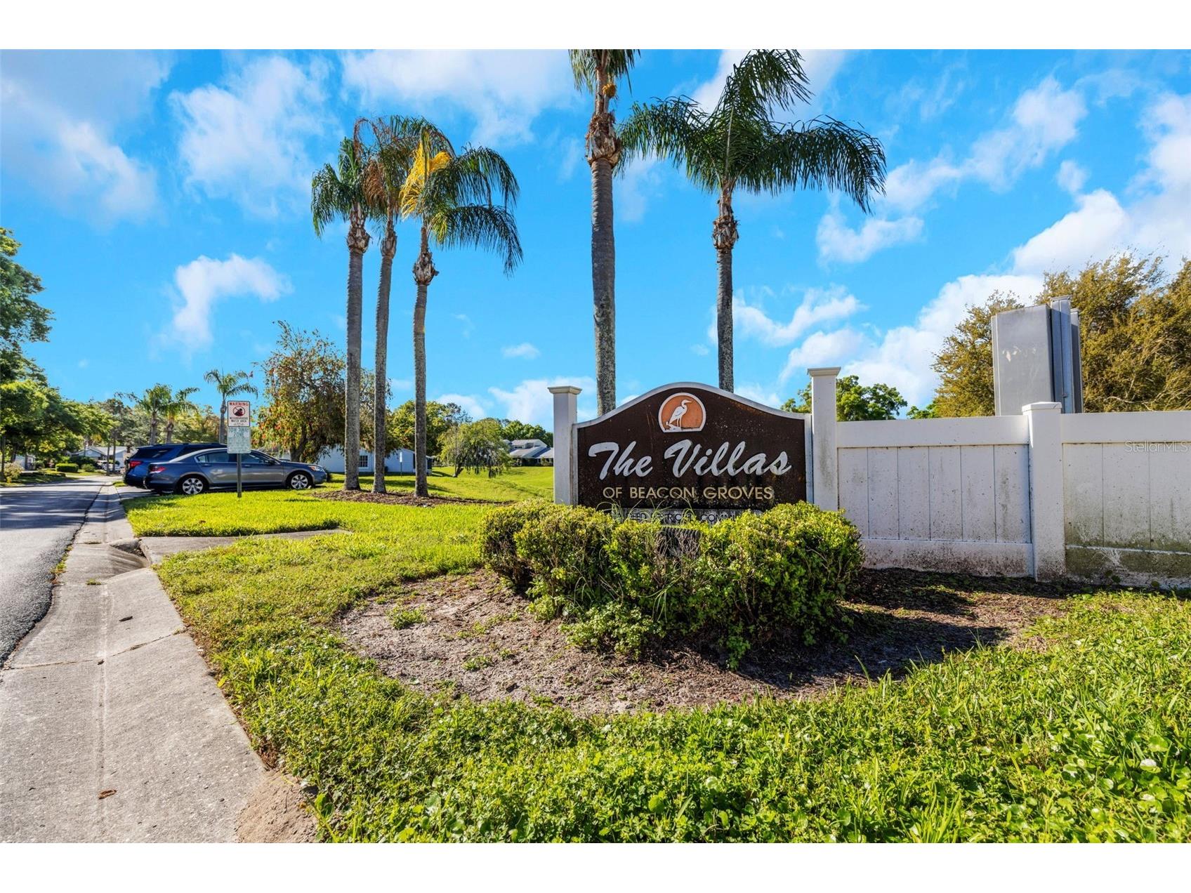 3121 Beecher Drive E #A Palm Harbor FL 34683 TB8490016 image50