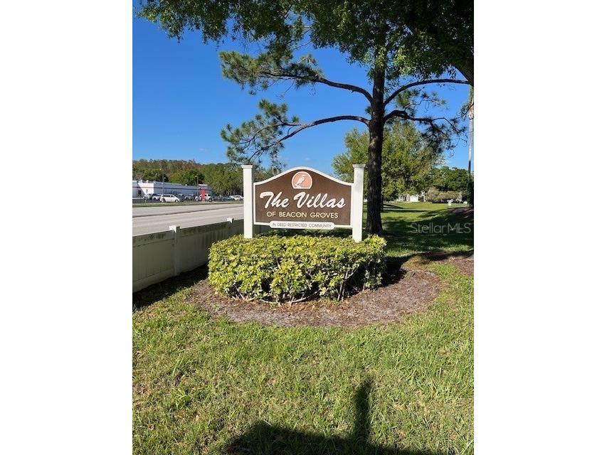 3121 Beecher Drive E #A Palm Harbor FL 34683 TB8490016 image51