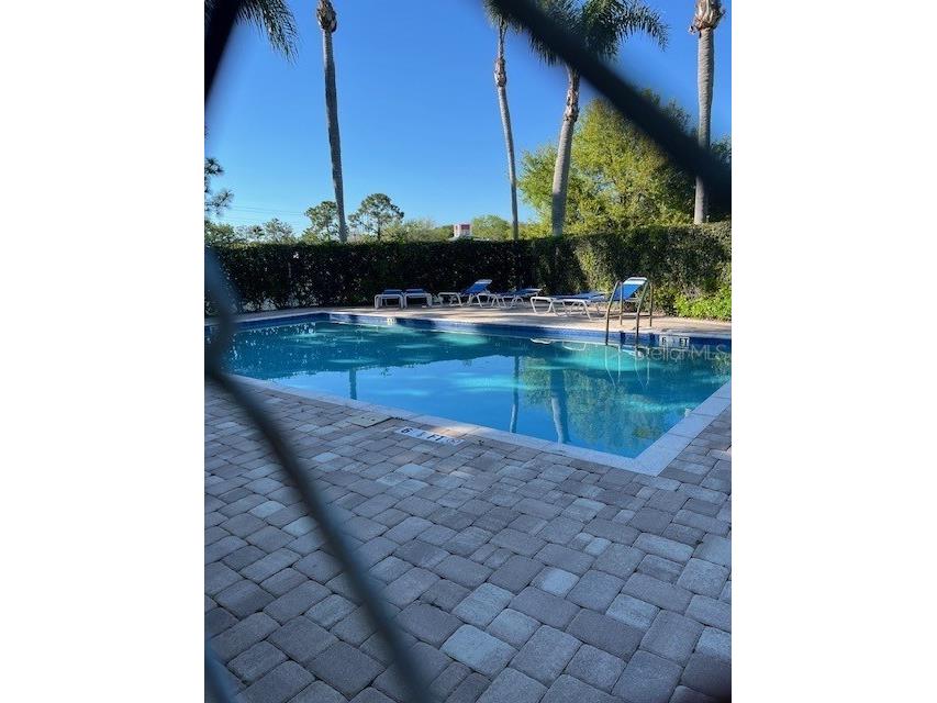 3121 Beecher Drive E #A Palm Harbor FL 34683 TB8490016 image53