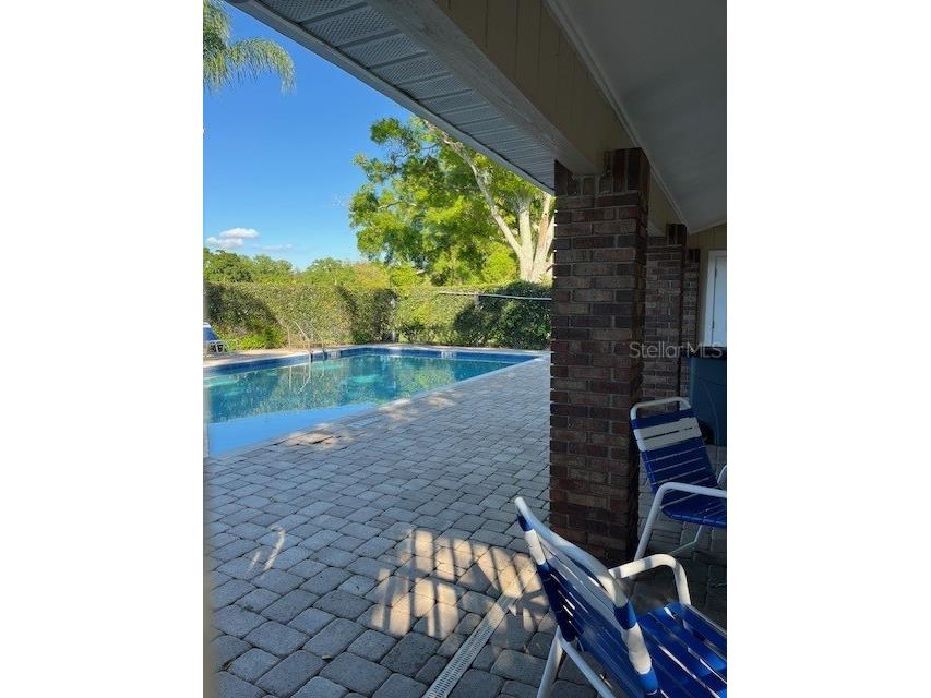 3121 Beecher Drive E #A Palm Harbor FL 34683 TB8490016 image57