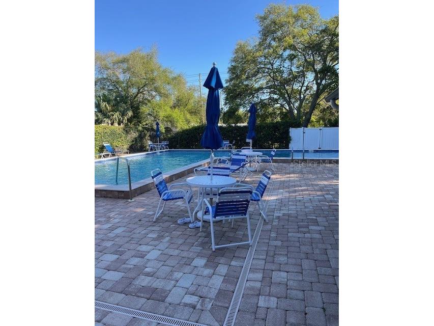 3121 Beecher Drive E #A Palm Harbor FL 34683 TB8490016 image59