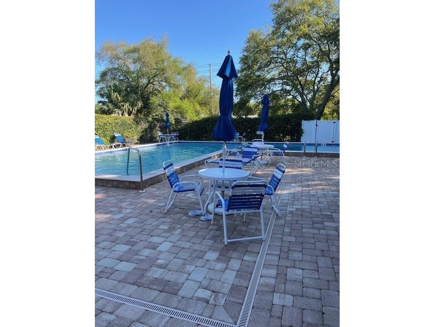 3121 Beecher Drive E #A Palm Harbor FL 34683 TB8490016 image60