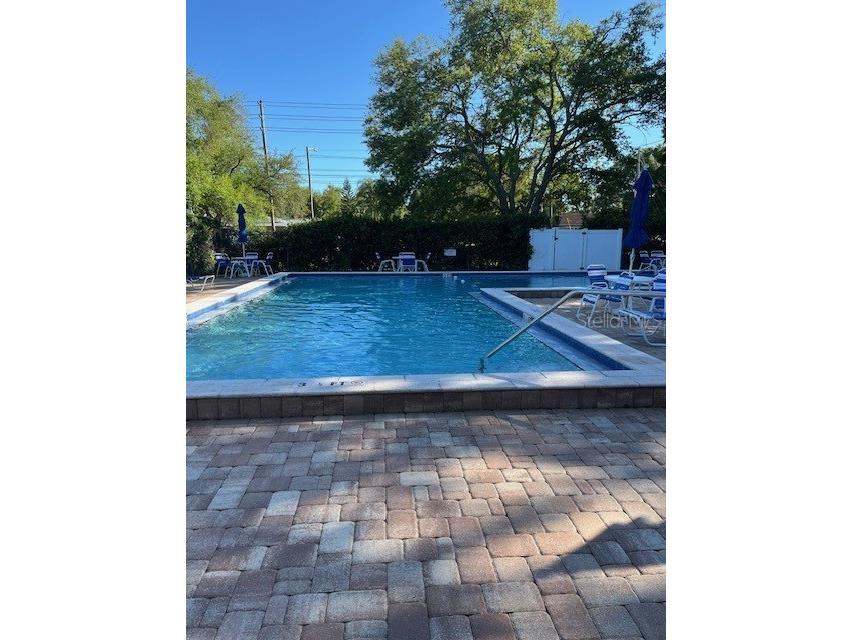 3121 Beecher Drive E #A Palm Harbor FL 34683 TB8490016 image61