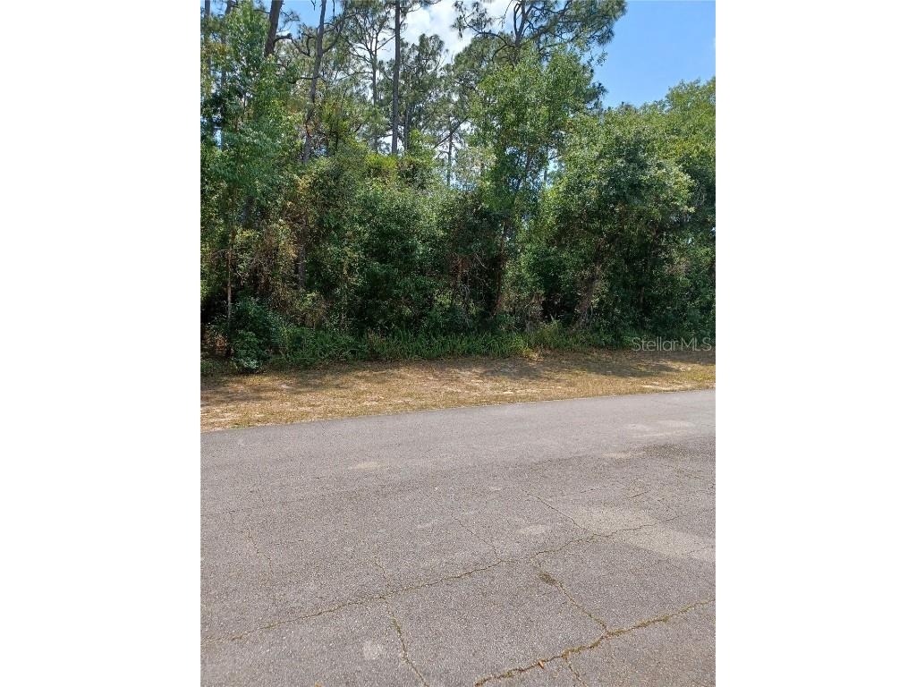 3121 Canterbury Street Deltona FL 32738 V4936147 image1