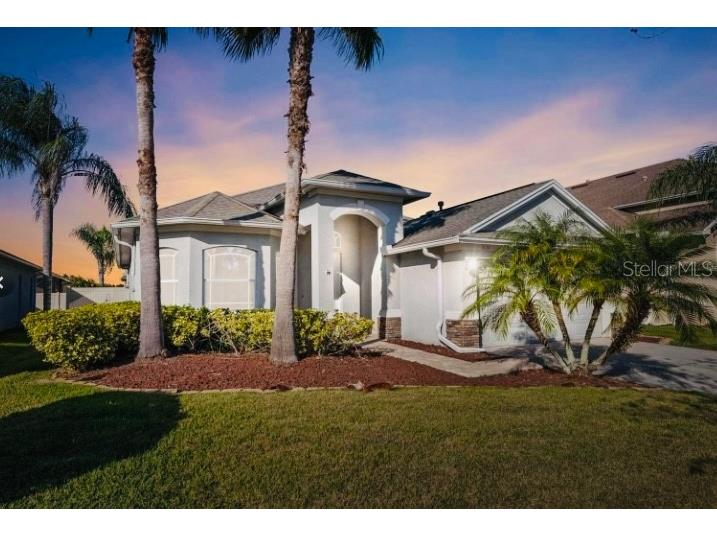 3121 Silvermill Loop Land O Lakes FL 34638 U8206128 image1