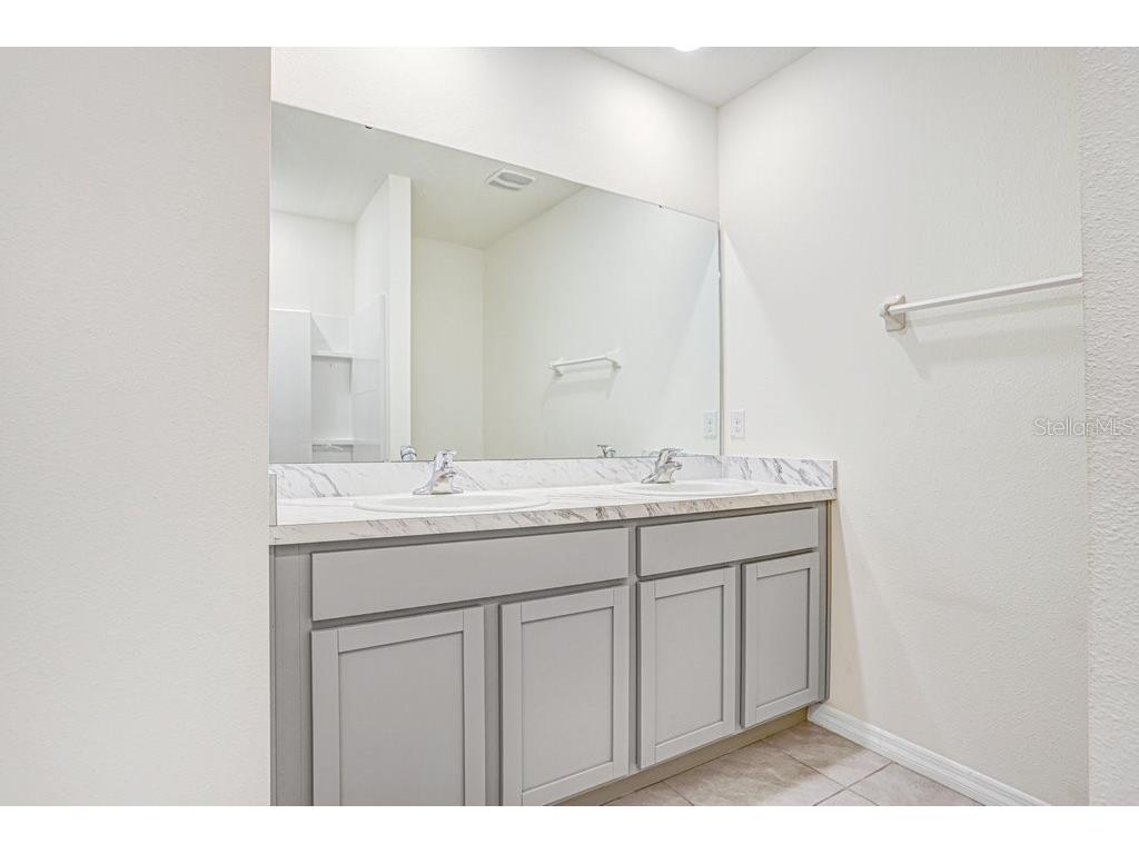 31210 Penny Surf Loop Wesley Chapel FL 33545 A4685087 image15