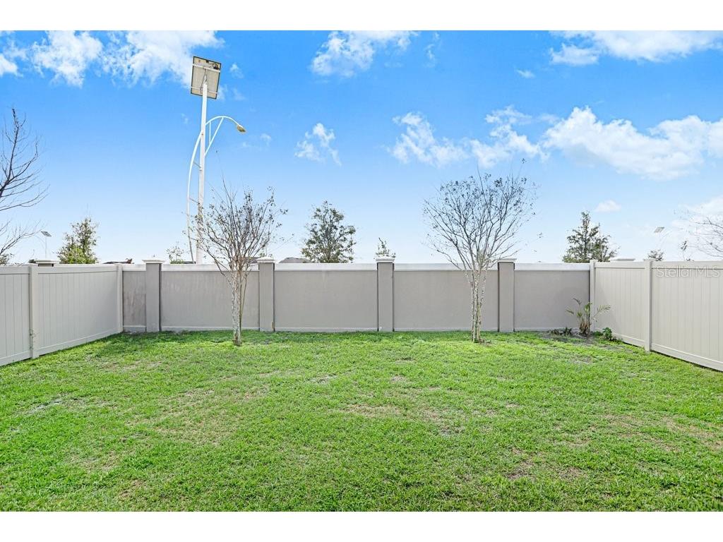 31210 Penny Surf Loop Wesley Chapel FL 33545 A4685087 image18