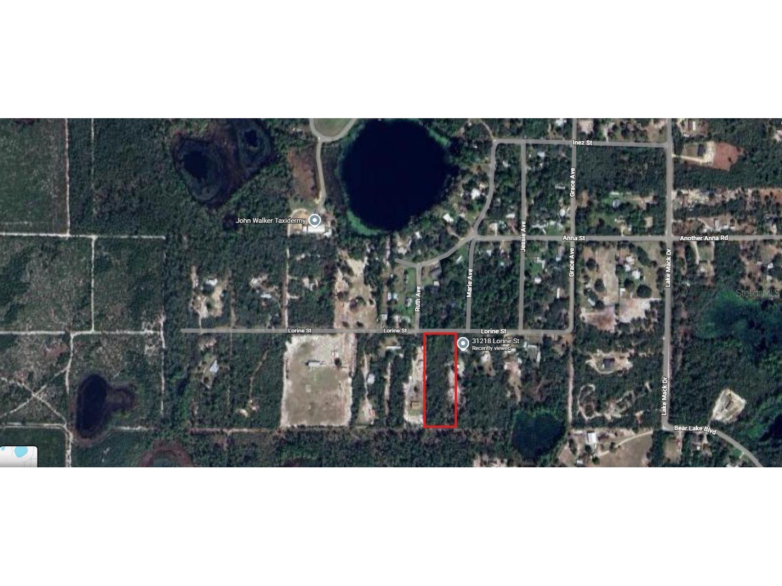 31217 Lorine Street Deland FL 32720 FC315466 image2