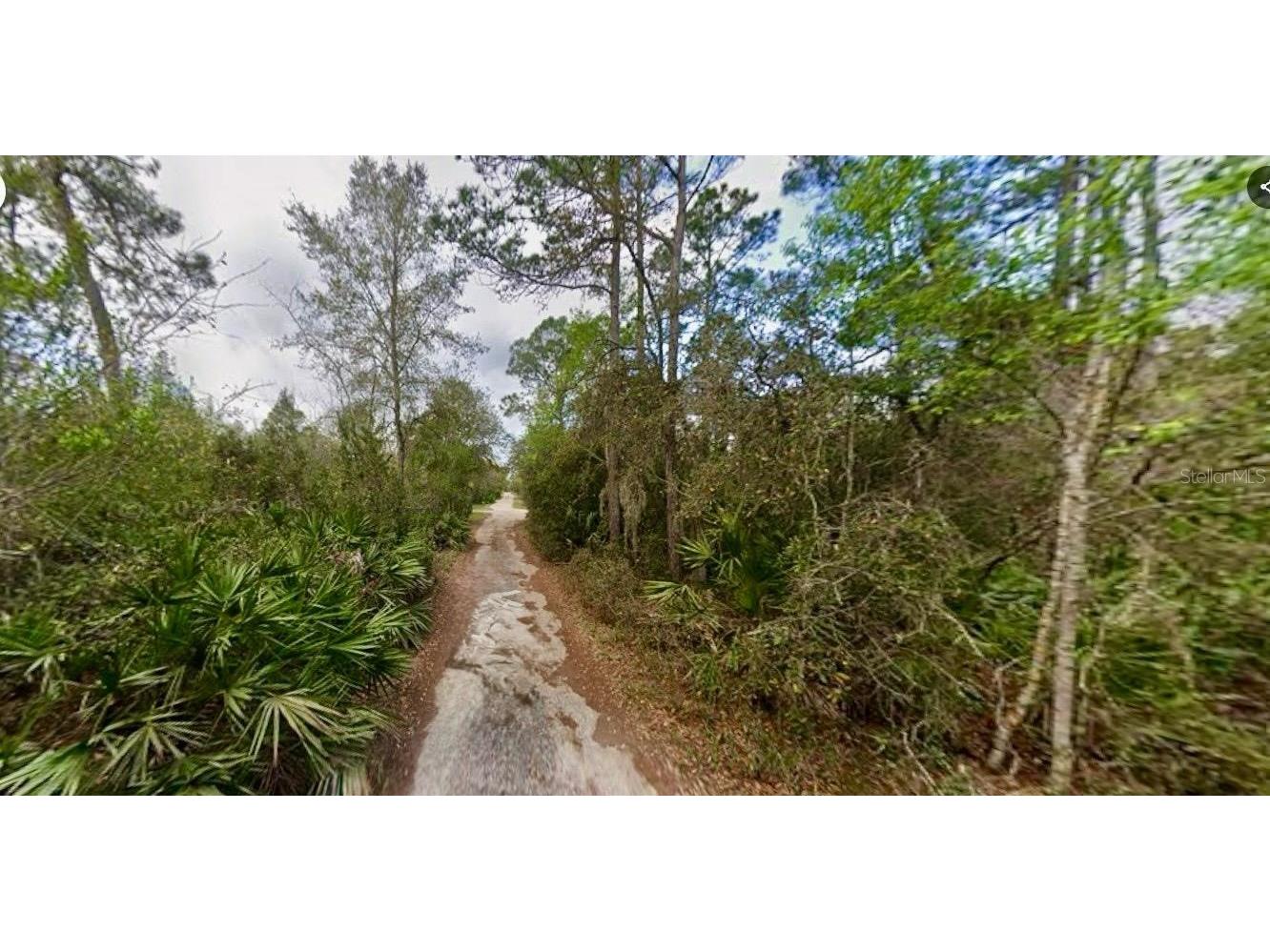 31217 Lorine Street Deland FL 32720 FC315466 image3