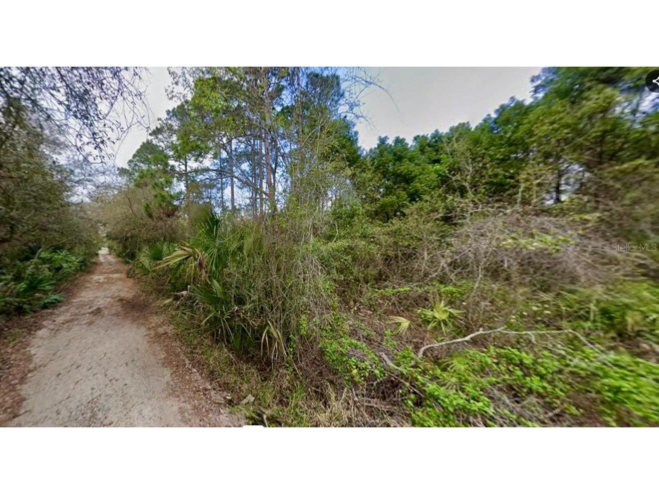 31217 Lorine Street Deland FL 32720 FC315466 image4
