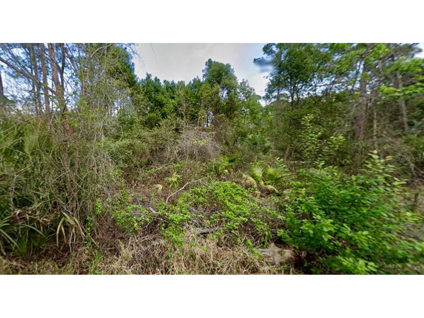31217 Lorine Street Deland FL 32720 FC315466 image5