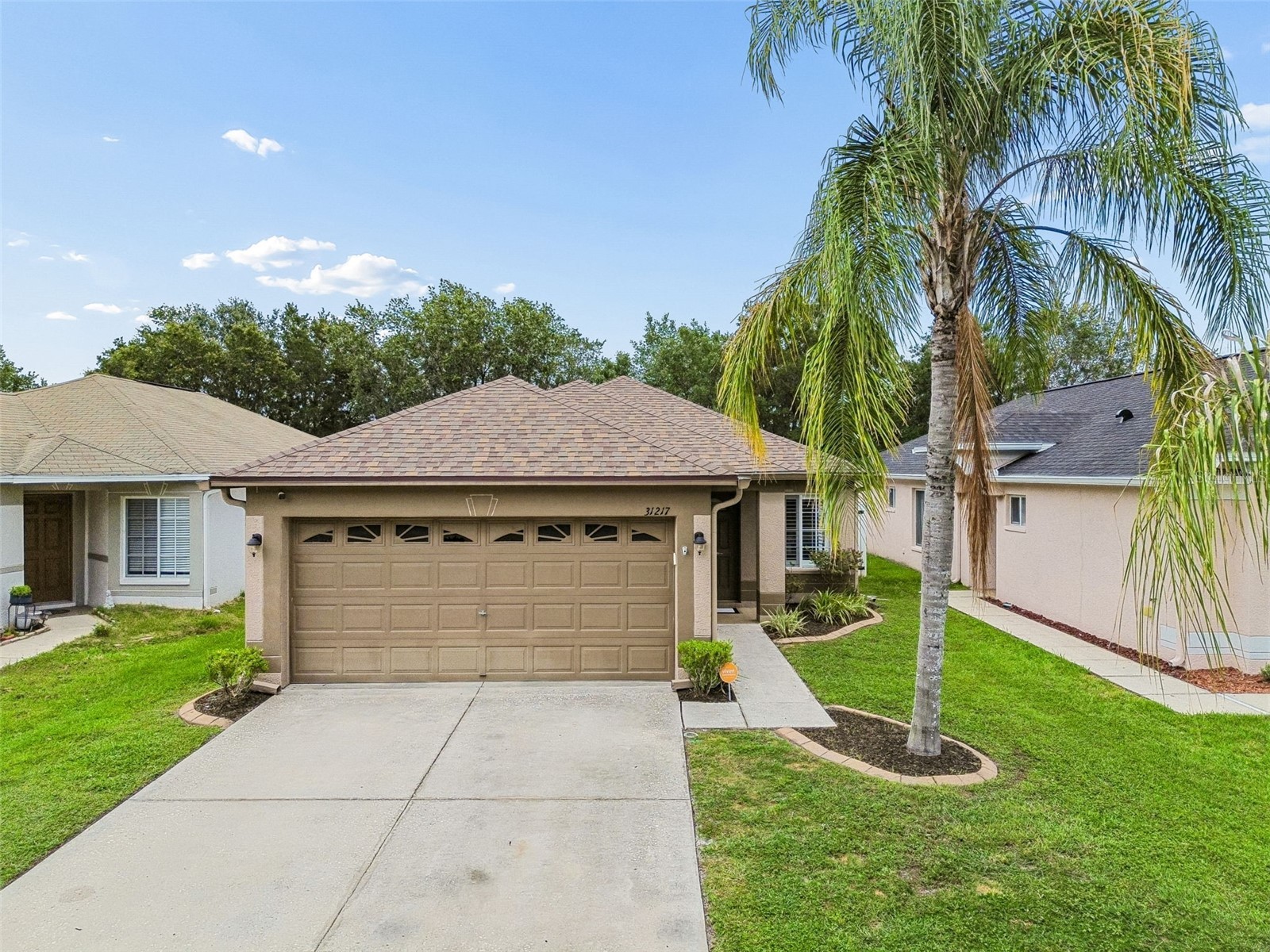 31217 Tagus Loop Wesley Chapel FL 33545 TB8505746 image1