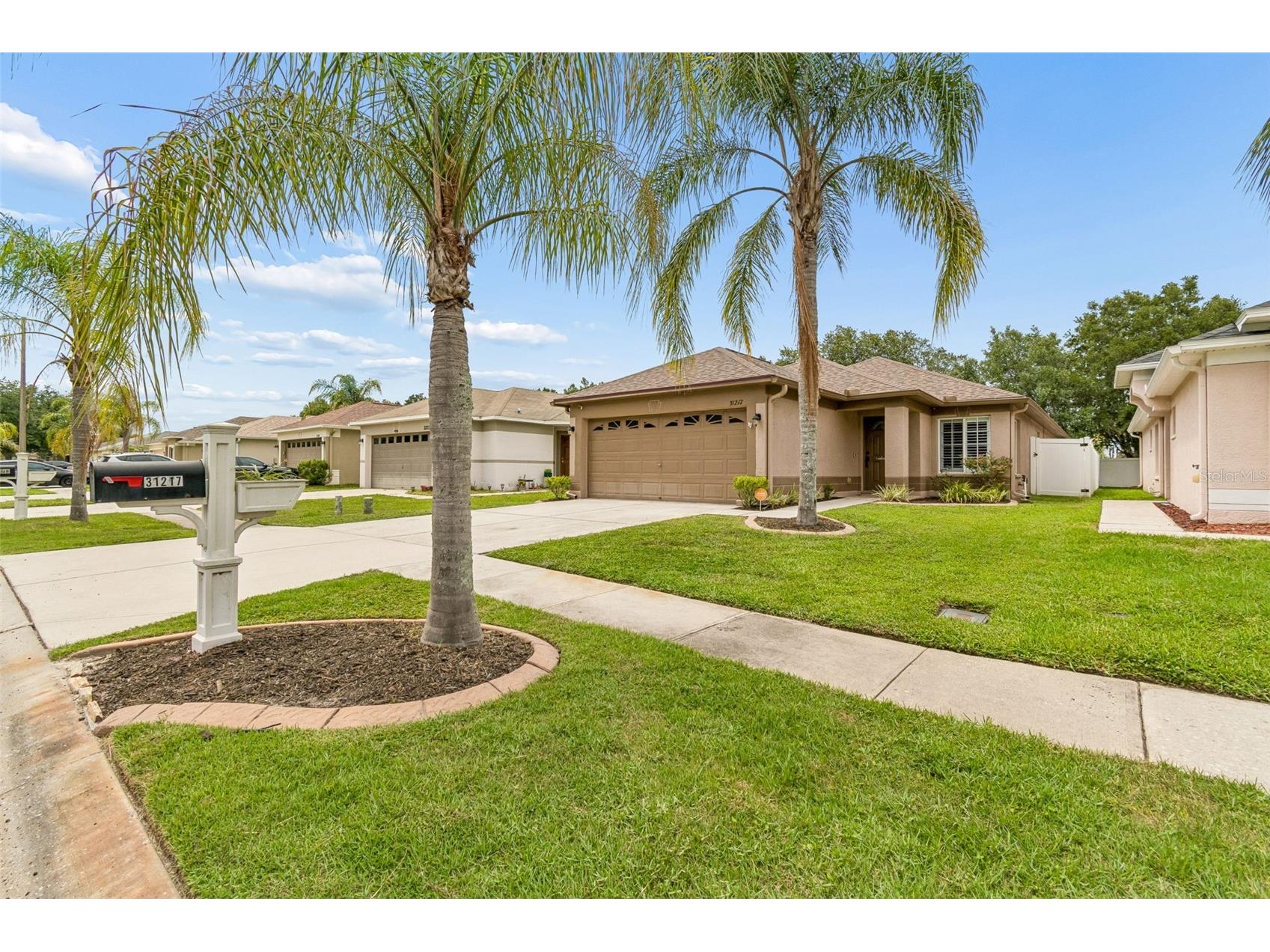 31217 Tagus Loop Wesley Chapel FL 33545 TB8505746 image13