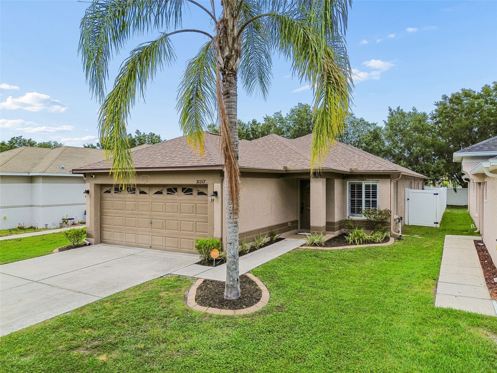 31217 Tagus Loop Wesley Chapel FL 33545 TB8505746 image2
