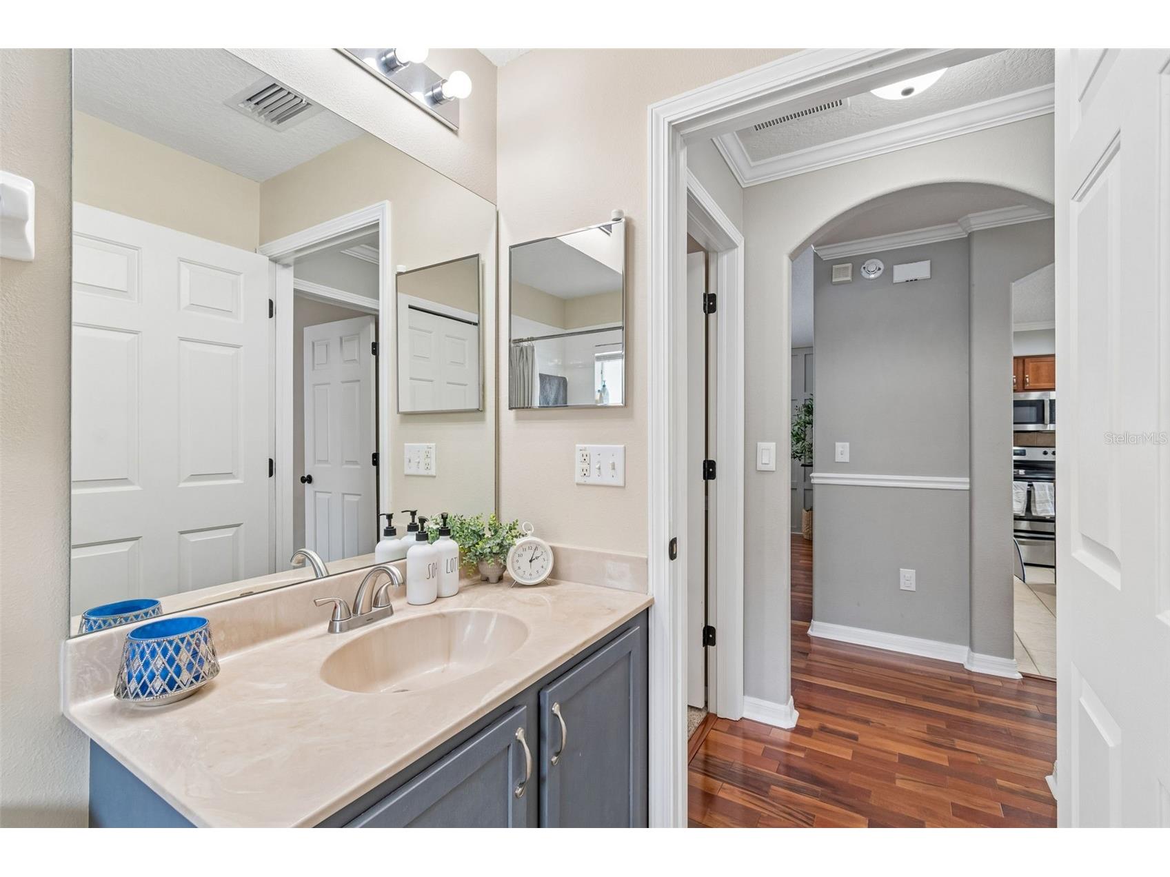 31217 Tagus Loop Wesley Chapel FL 33545 TB8505746 image25