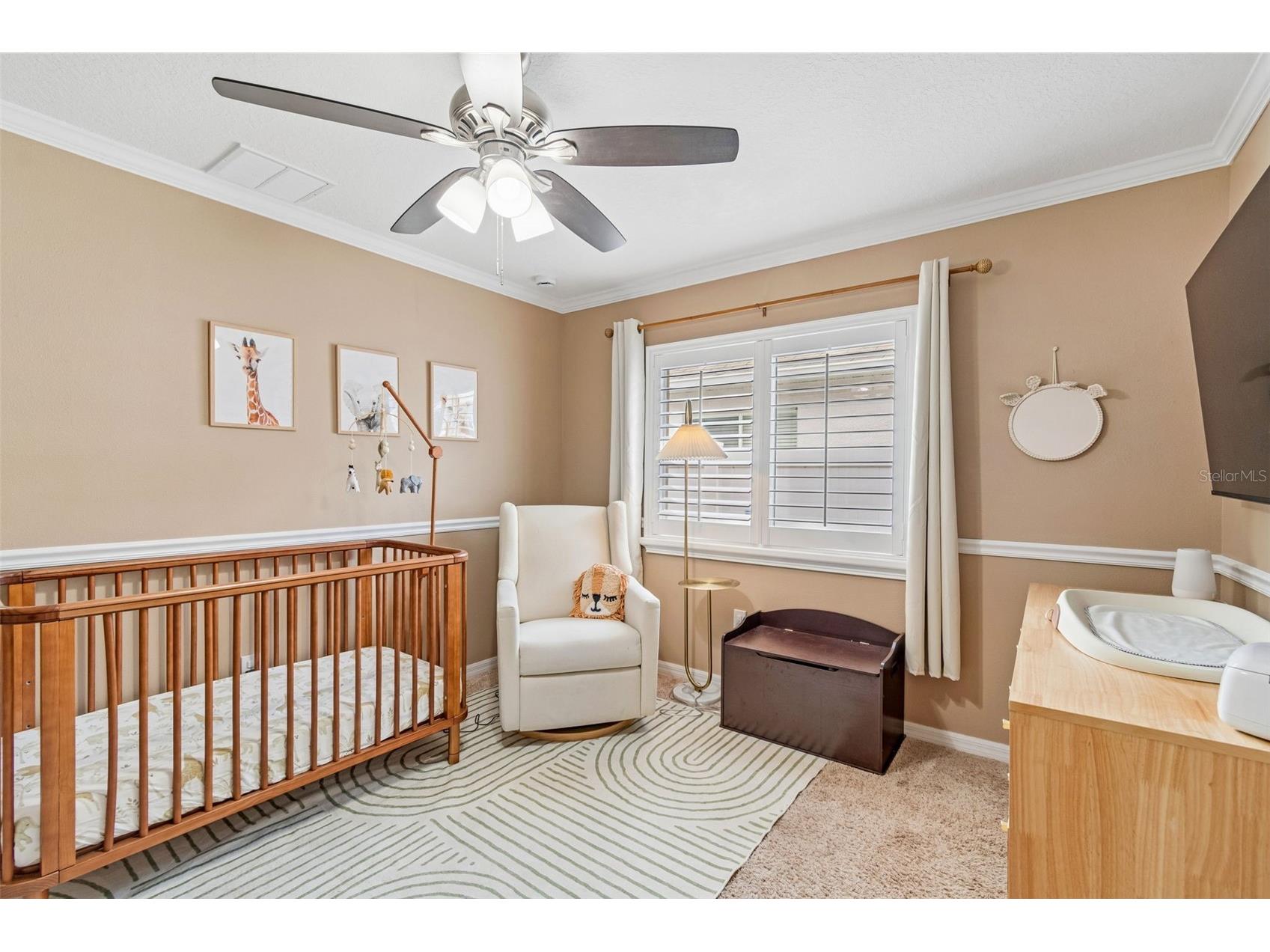 31217 Tagus Loop Wesley Chapel FL 33545 TB8505746 image27