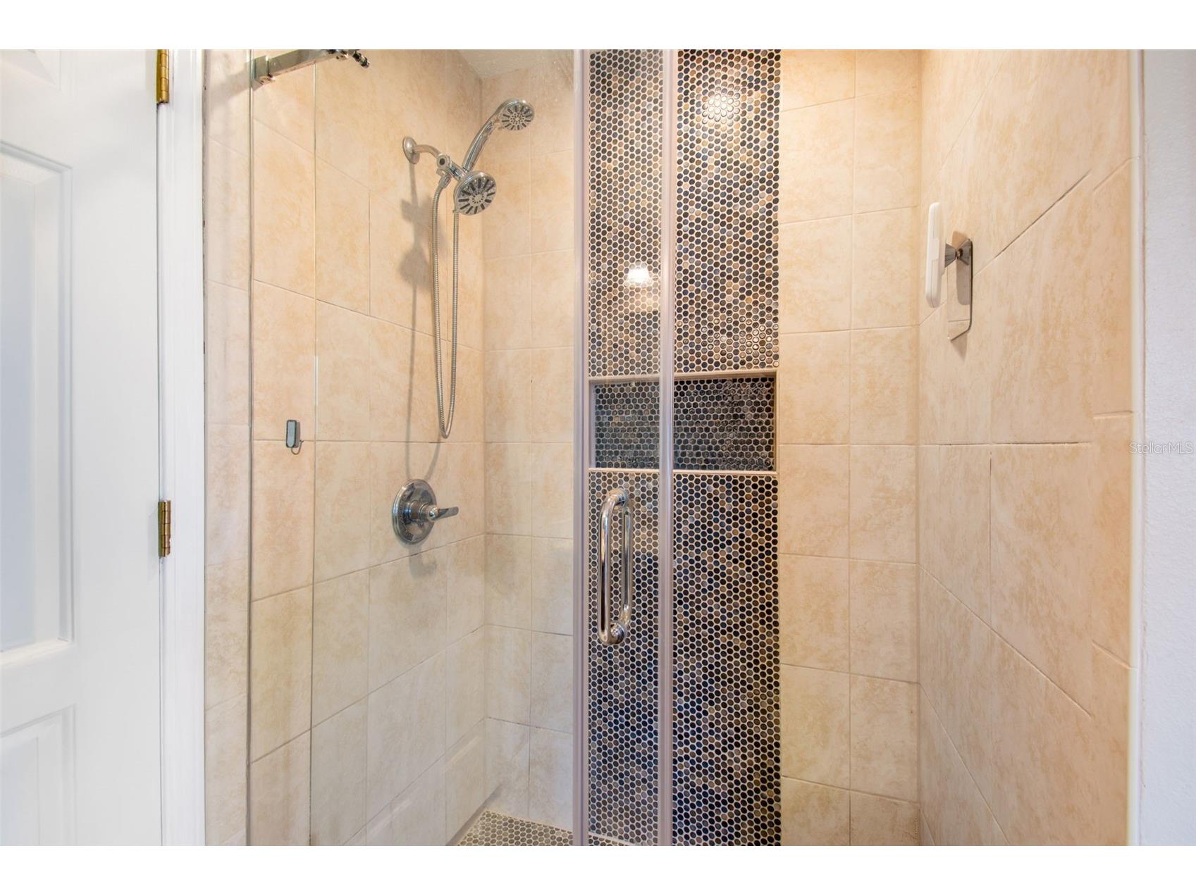 31217 Tagus Loop Wesley Chapel FL 33545 TB8505746 image36