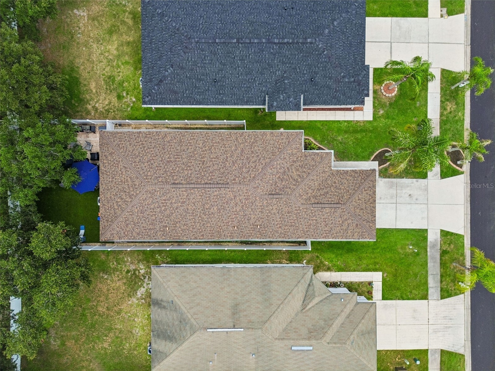 31217 Tagus Loop Wesley Chapel FL 33545 TB8505746 image50