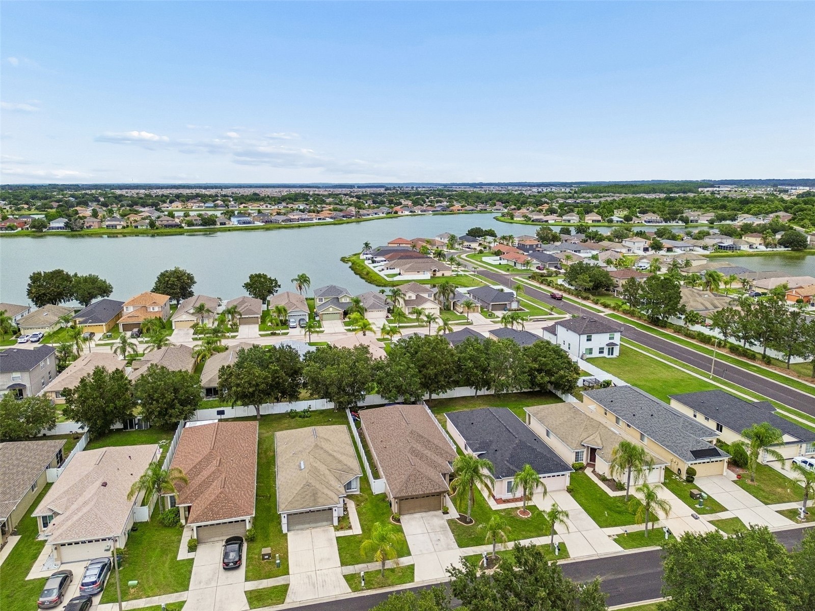 31217 Tagus Loop Wesley Chapel FL 33545 TB8505746 image51