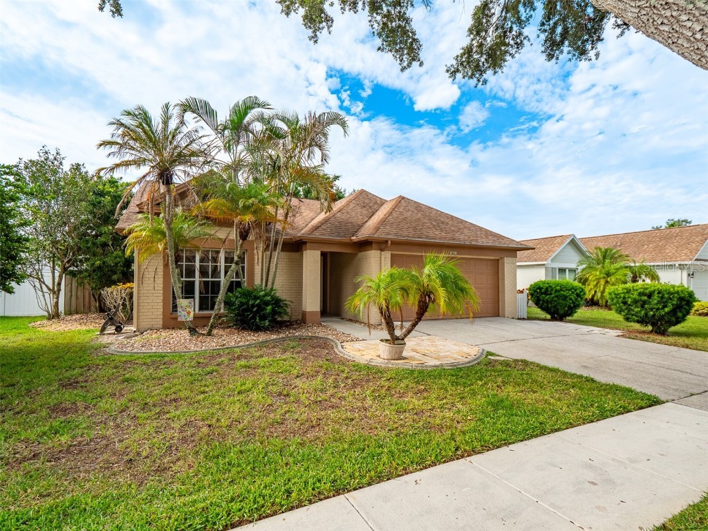 3122 Cara Court Palm Harbor FL 34684 U8215595 image1
