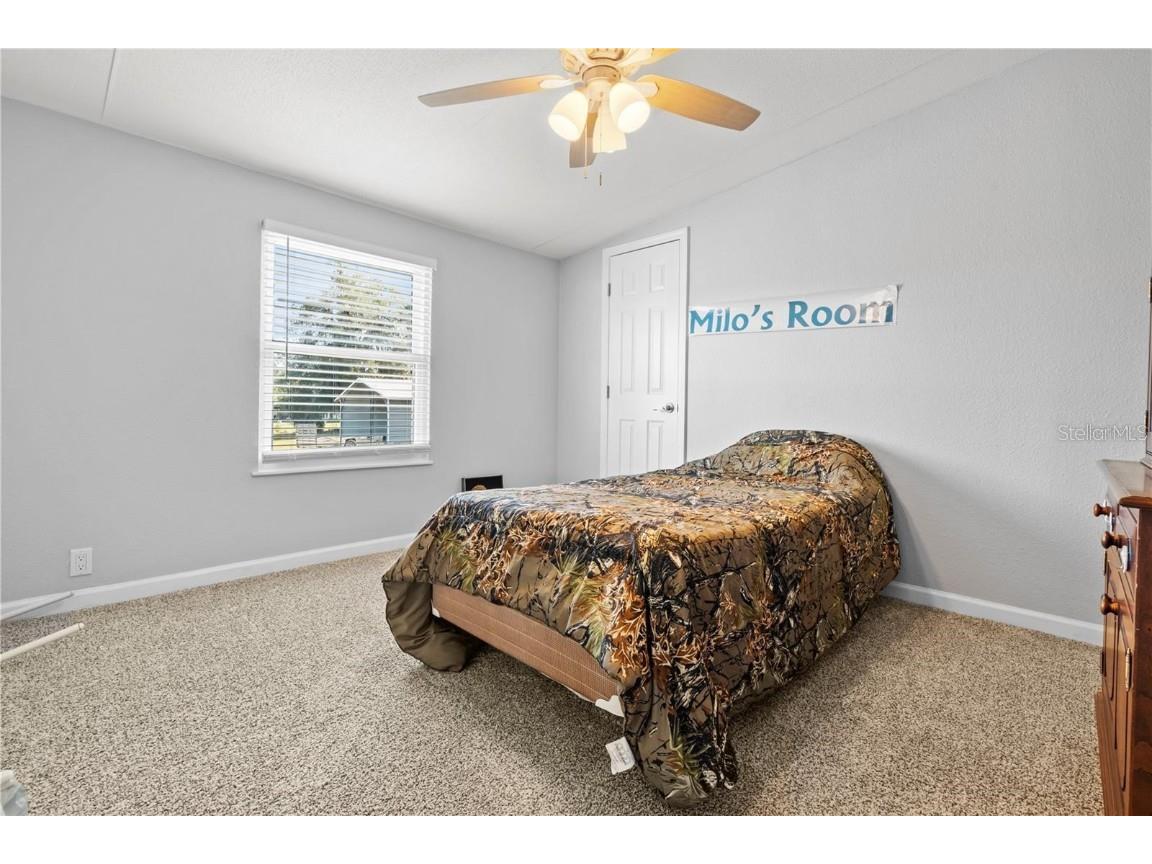 3122 Griffin View Drive Lady Lake FL 32159 O6346488 image23
