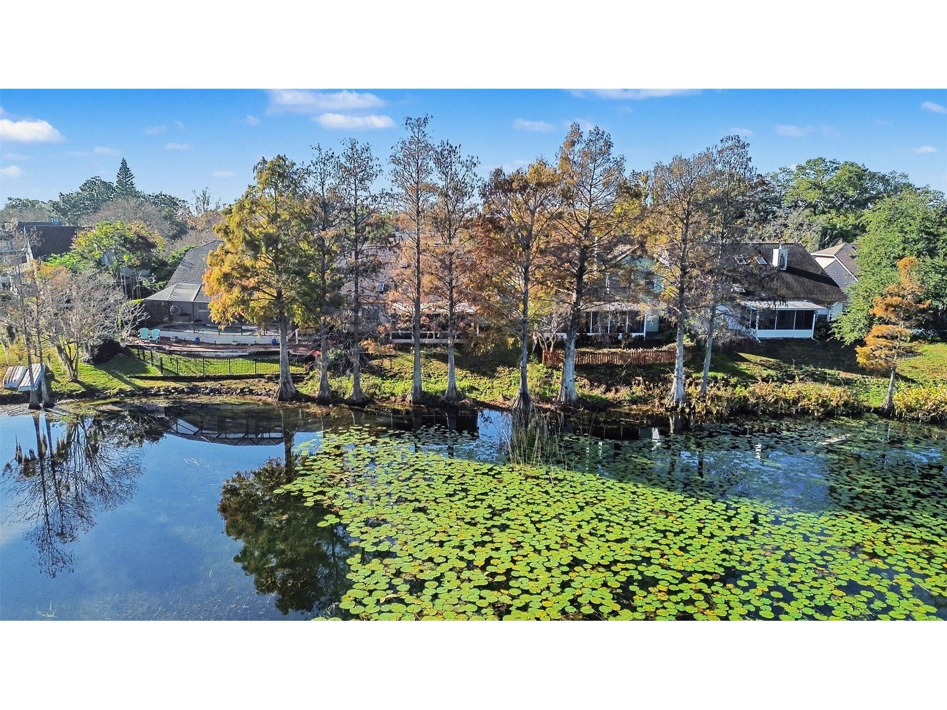 3122 Tall Timber Drive Orlando FL 32812 S5139495 image28