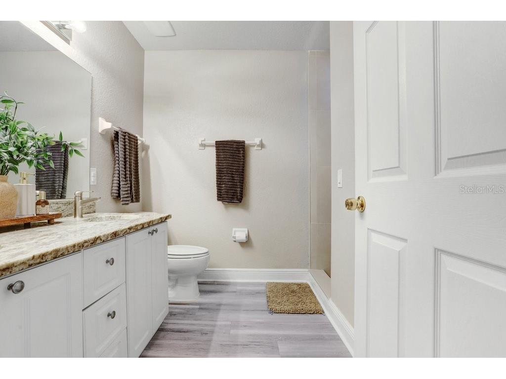 3122 W Grace Street Tampa FL 33607 TB8455389 image32