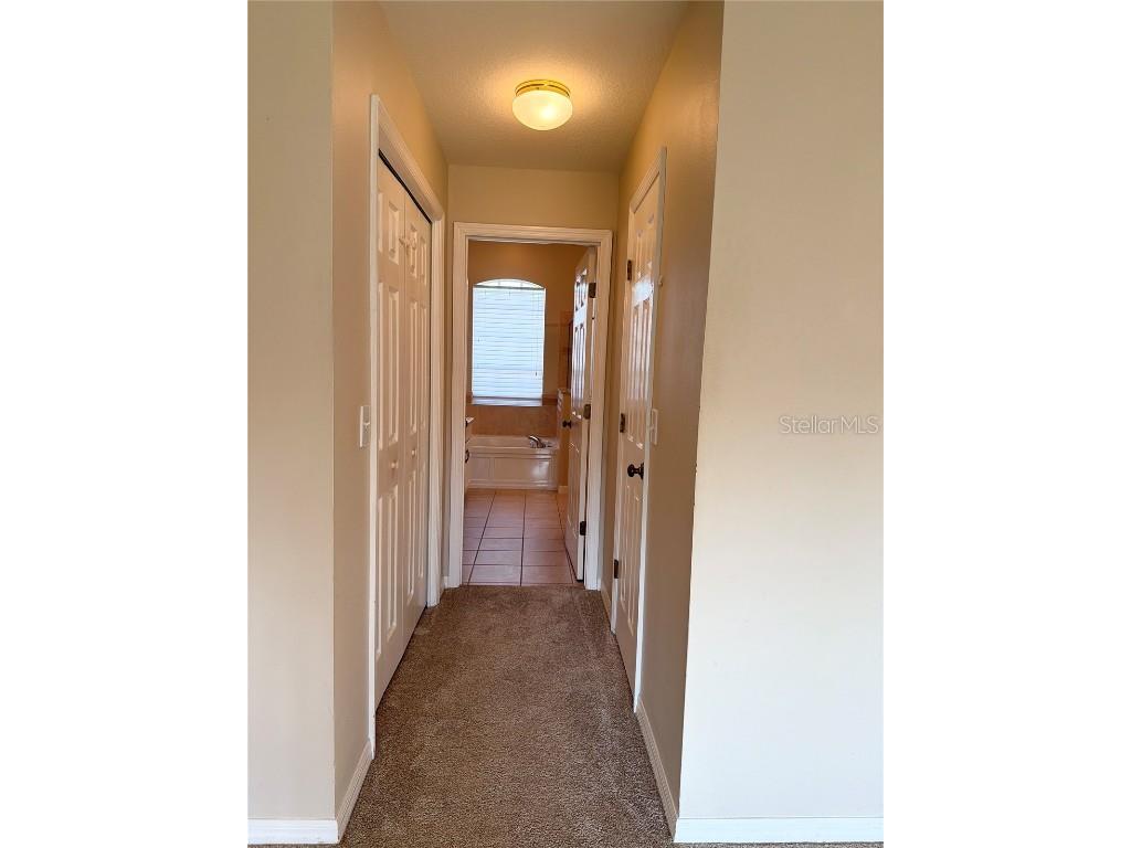 31224 Crestmont Court Wesley Chapel FL 33543 TB8444419 image11