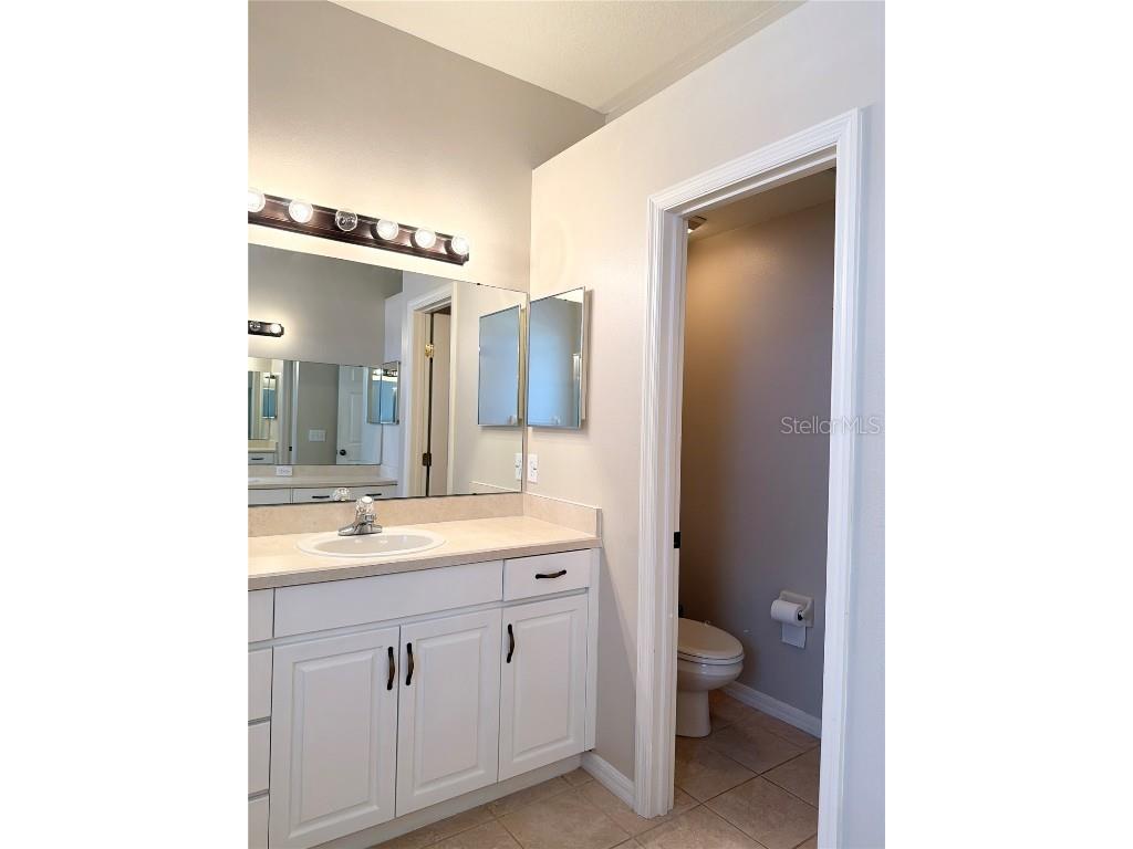 31224 Crestmont Court Wesley Chapel FL 33543 TB8444419 image14