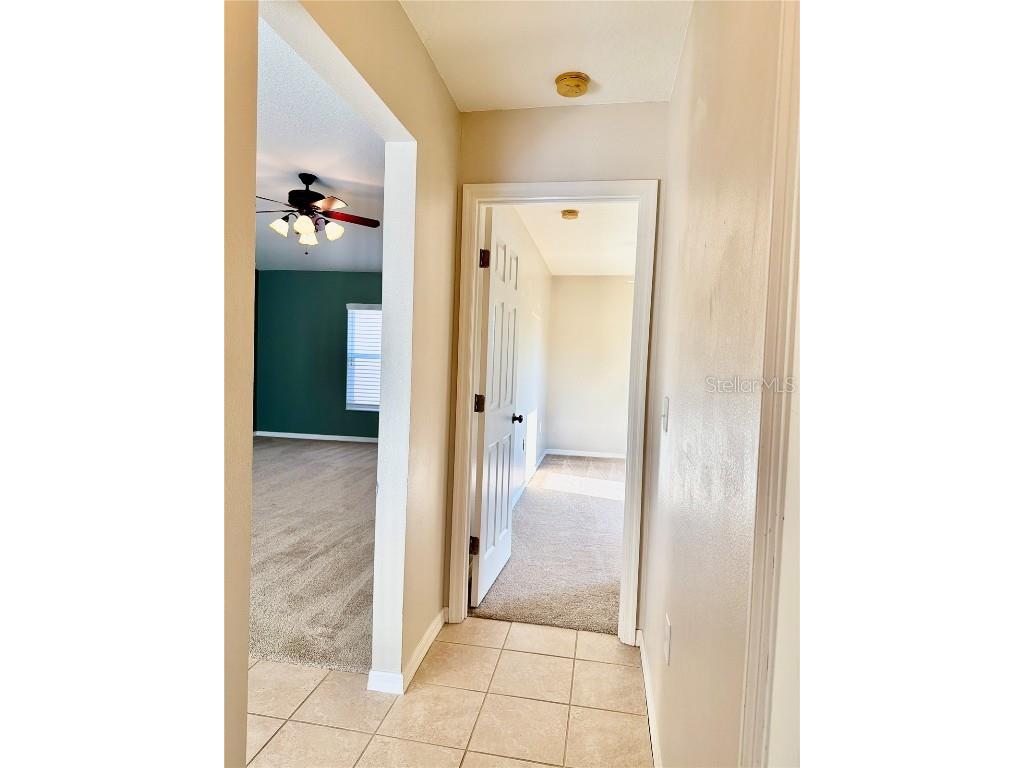 31224 Crestmont Court Wesley Chapel FL 33543 TB8444419 image28