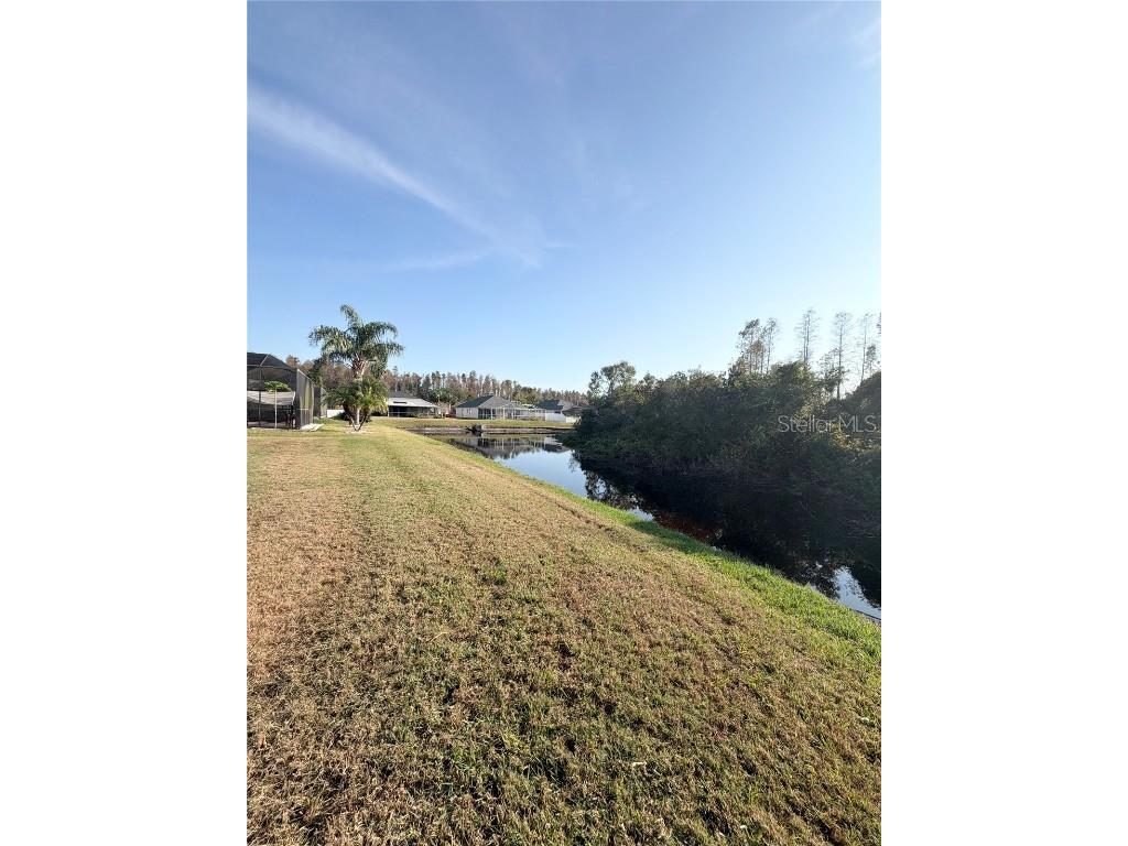 31224 Crestmont Court Wesley Chapel FL 33543 TB8444419 image35