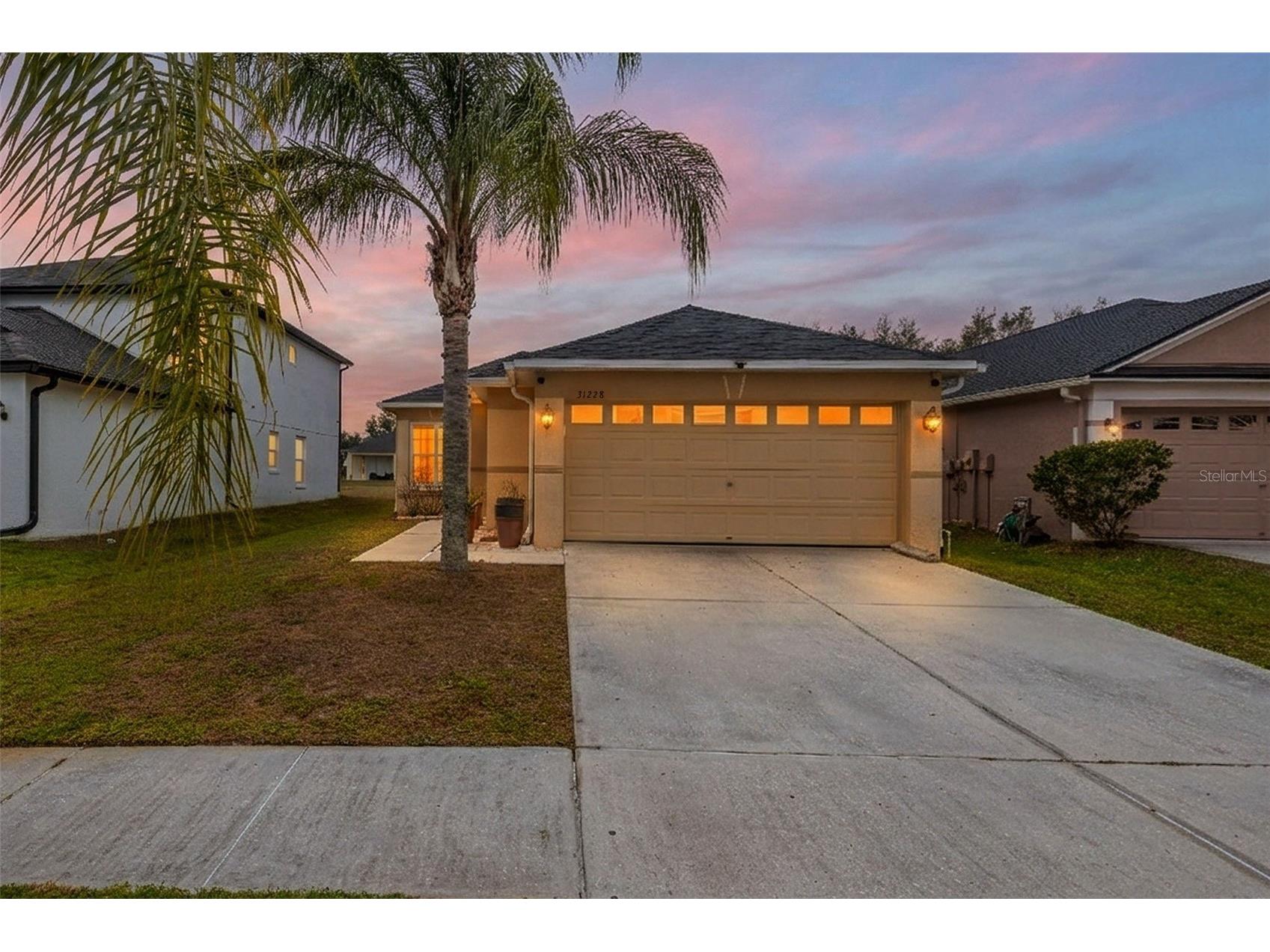 31228 Masena Drive Wesley Chapel FL 33545 TB8481382 image1