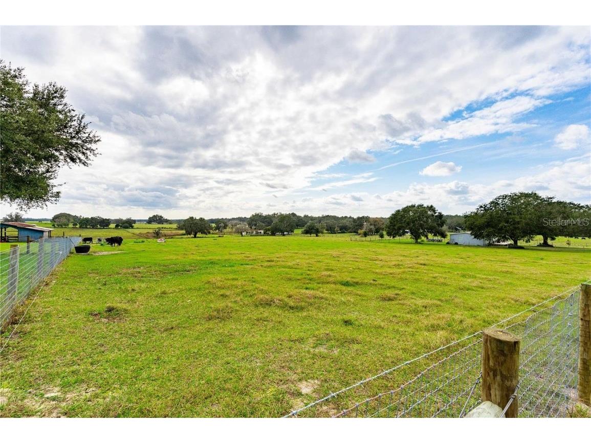 31228 Saint Joe Road Dade City FL 33525 T3541921 image1