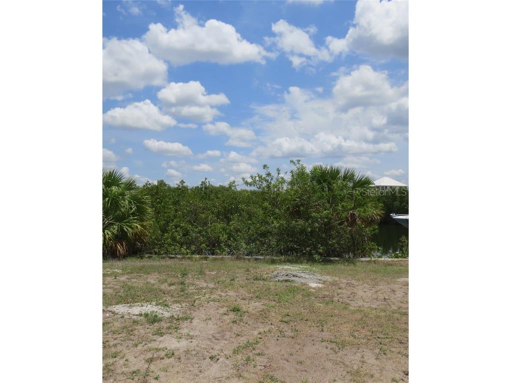 3123 Christophers Watch Lane Ruskin FL 33570 U8198373 image1