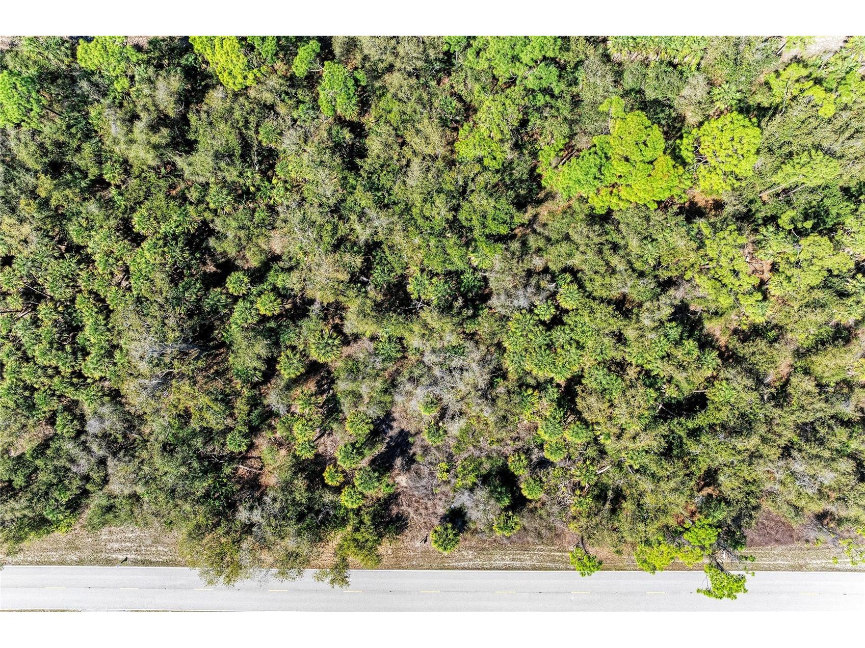 3123 Como Street Port Charlotte FL 33948 A4685166 image13